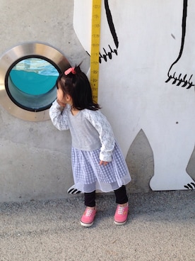 たぬきさんのコーディネート