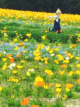 Mi-chaan○さんのコーディネート