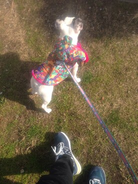 ☞YUURIさんのコーディネート