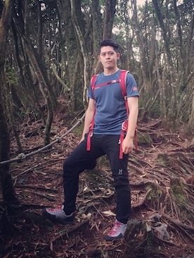 Hydraさんのコーディネート