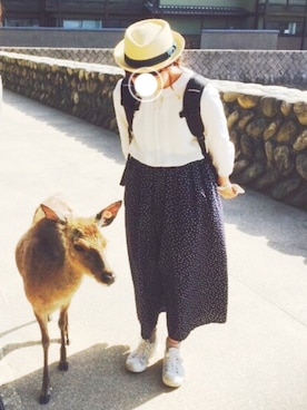 らんちゃんさんのコーディネート