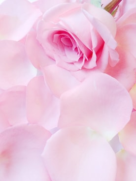 ♡Sさんのコーディネート