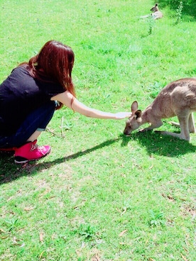asakoさんのコーディネート