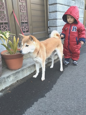 「柴犬」｜「アイテム（ジャケット/アウター）」を使った、ひとみさん（キッズ・80cm）の冬コーディネート