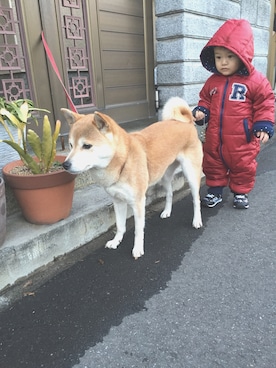 ひとみさんのコーディネート