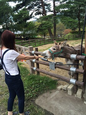 i2m_さんのコーディネート