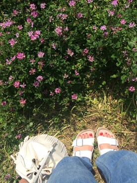 sceさんのコーディネート