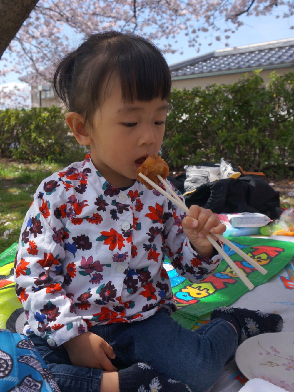 「お花見、花柄、1歳」｜「OLD NAVYのポーズで顔隠れたまるちゃん（シャツ/ブラウス、その他）」を使った、tinyjohnさん（キッズ・80cm）の春コーディネートの1枚目の写真