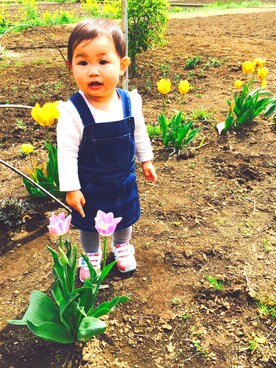 acoricoさんのコーディネート