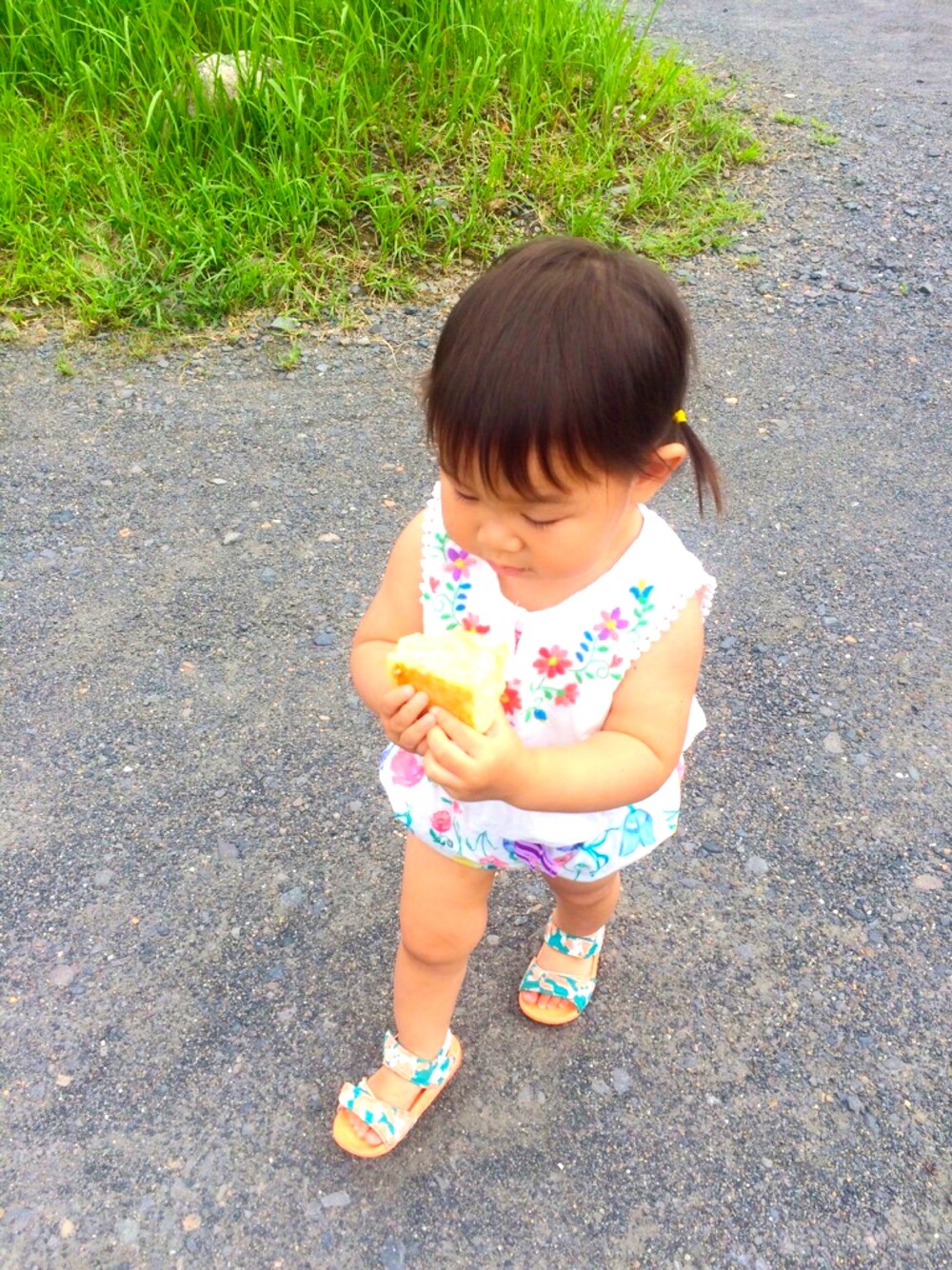 acoricoさんの「BO | ブルマー（fafa）」を使ったコーディネートの1枚目の写真