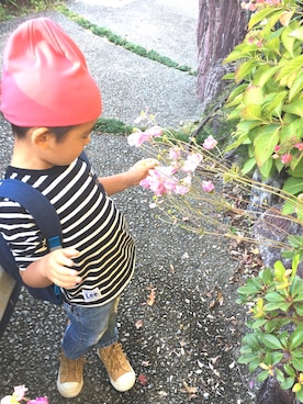 コタローさんのコーディネート