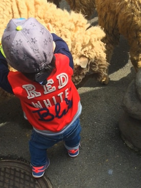 むすこさんさん（キッズ・80cm）の春コーディネート