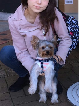 ダイヤさん♡さんのコーディネート