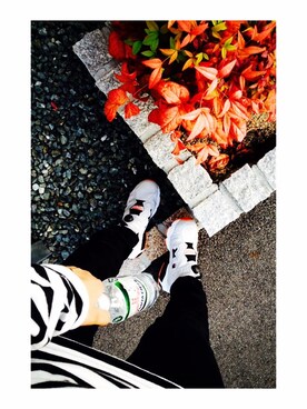 めさんのコーディネート