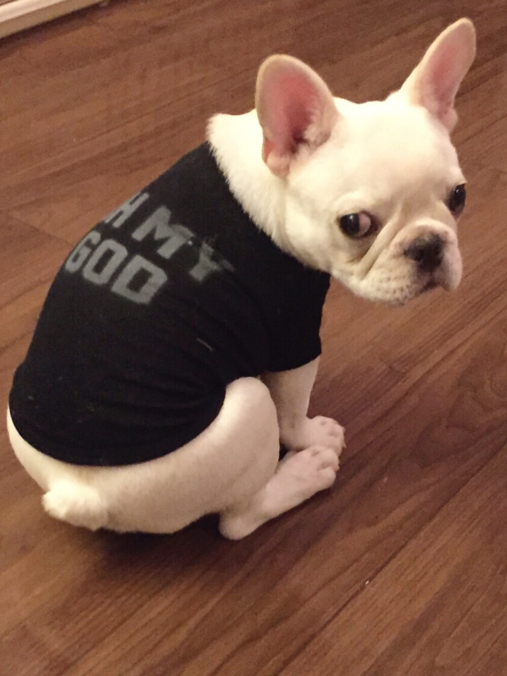 ブラック系のペットウェアを着用したレディースの秋コーディネートの1枚目の写真