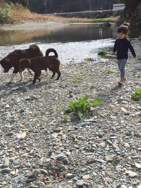 ucaaさんのコーディネート