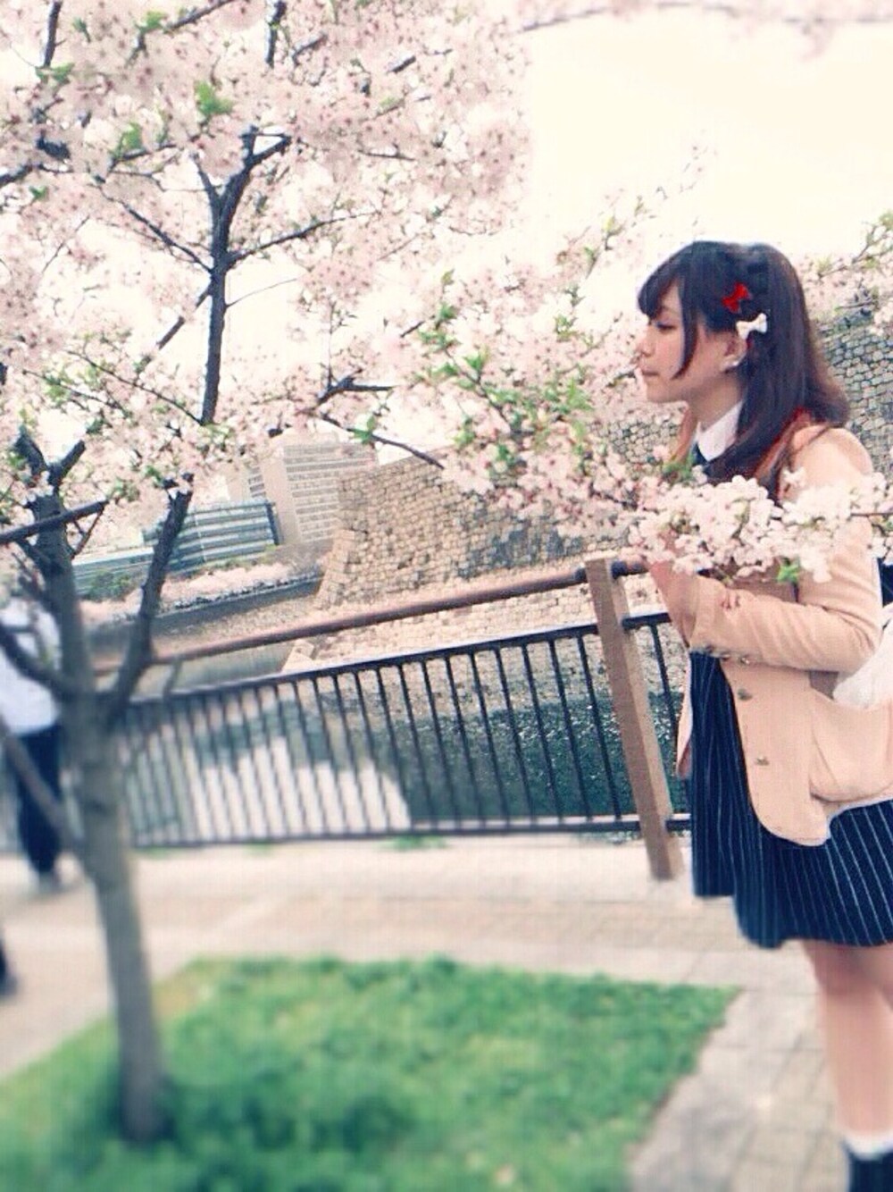 「桜、ワンピース、しまむら」｜「Availのアイテム（ワンピース、その他）」を使った、(お)佐藤 。さん（レディース・154cm）の春コーディネートの1枚目の写真