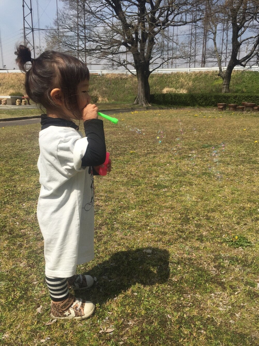 「ビッグT、ミッキーT、2歳、おんなのこ」｜「しまむらのアイテム（Tシャツ/カットソー、ホワイト系）」を使った、りーぬ@おすし。さん（キッズ・90cm）の春コーディネートの1枚目の写真