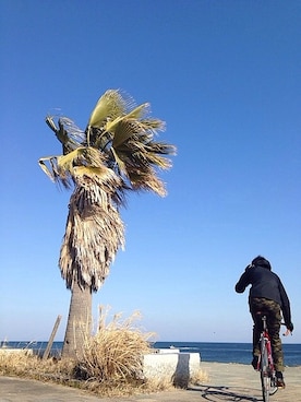 yuさん（メンズ・170cm）の春コーディネート