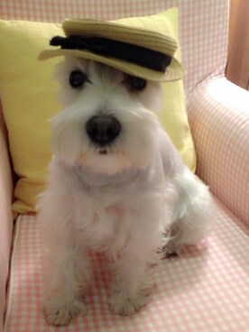 Corinineteenさんのコーディネート