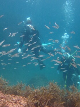 ひの(♥´꒳`*)(*´꒳`♥) さんのコーディネート