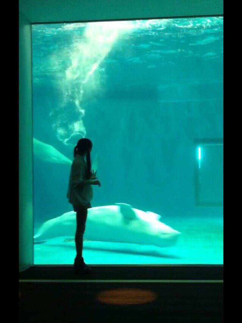 ブルー系のその他を着用したレディースの夏コーディネートの1枚目の写真