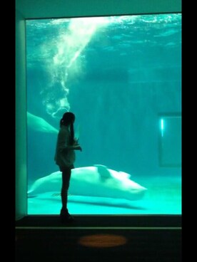 ひの(♥´꒳`*)(*´꒳`♥) さんのコーディネート