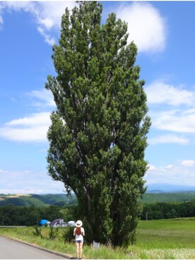 ひの(♥´꒳`*)(*´꒳`♥) さんのコーディネート