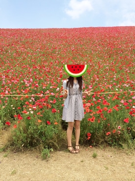 にゃんたろさんのコーディネート