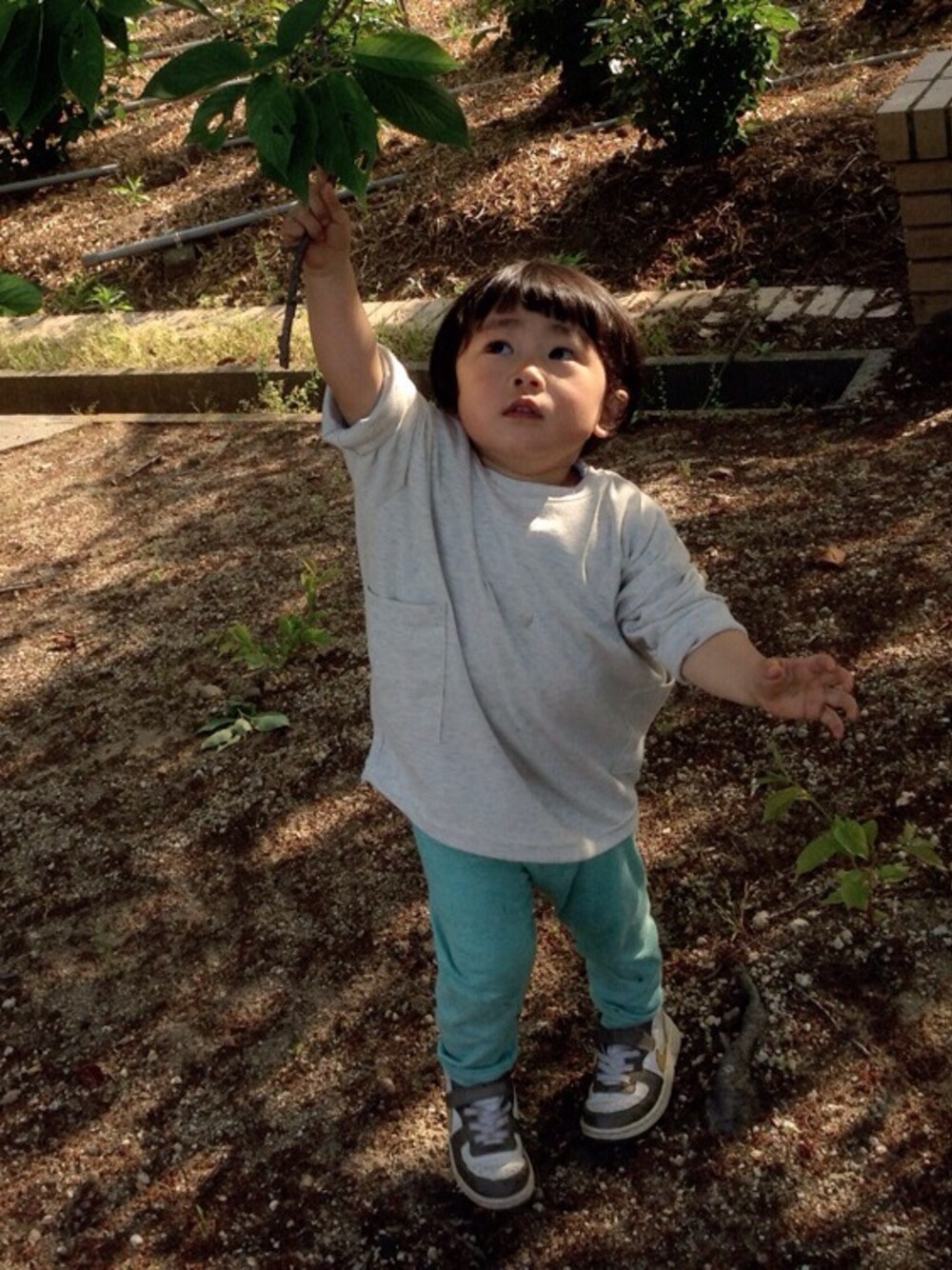 「kids、オーバーサイズ、kidscase、おかっぱ、パッツン、みずいろ、前髪ぱっつん」｜「アイテム（その他パンツ、ブルー系）」を使った、mimo  mitoさん（キッズ・90cm）の春コーディネートの1枚目の写真