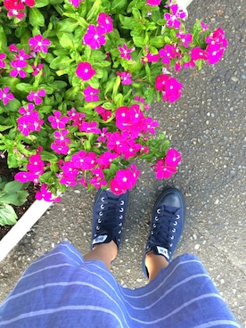「CONVERSE（コンバース）のCONVERSE / ALL STAR MONOCOLORS ND OX（スニーカー、ブルー系）」を使った、canaさん（レディース）の夏コーディネート