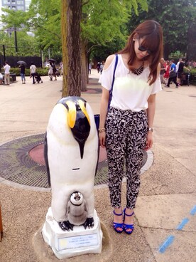 SHIZUKAさんのコーディネート