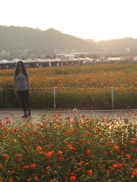 Audrey さんのコーディネート