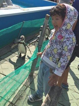 ♡HIMARU♡さんの（Penguin | ペンギン）を使ったコーディネート