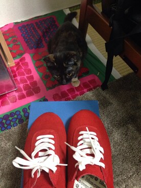 meicoさんのコーディネート