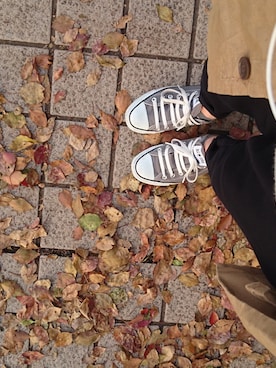 ねこさん（レディース・160cm）の春コーディネート