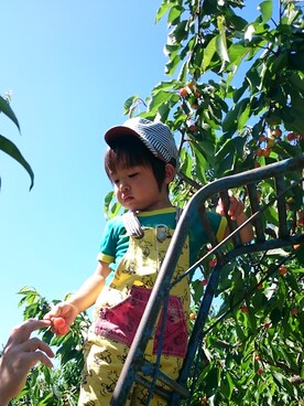 「アイテム（サロペット/オーバーオール、イエロー系）」を使った、M☆Yさん（キッズ・100cm）の夏コーディネート