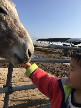 みいさんのコーディネート