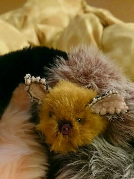 柄さんのコーディネート