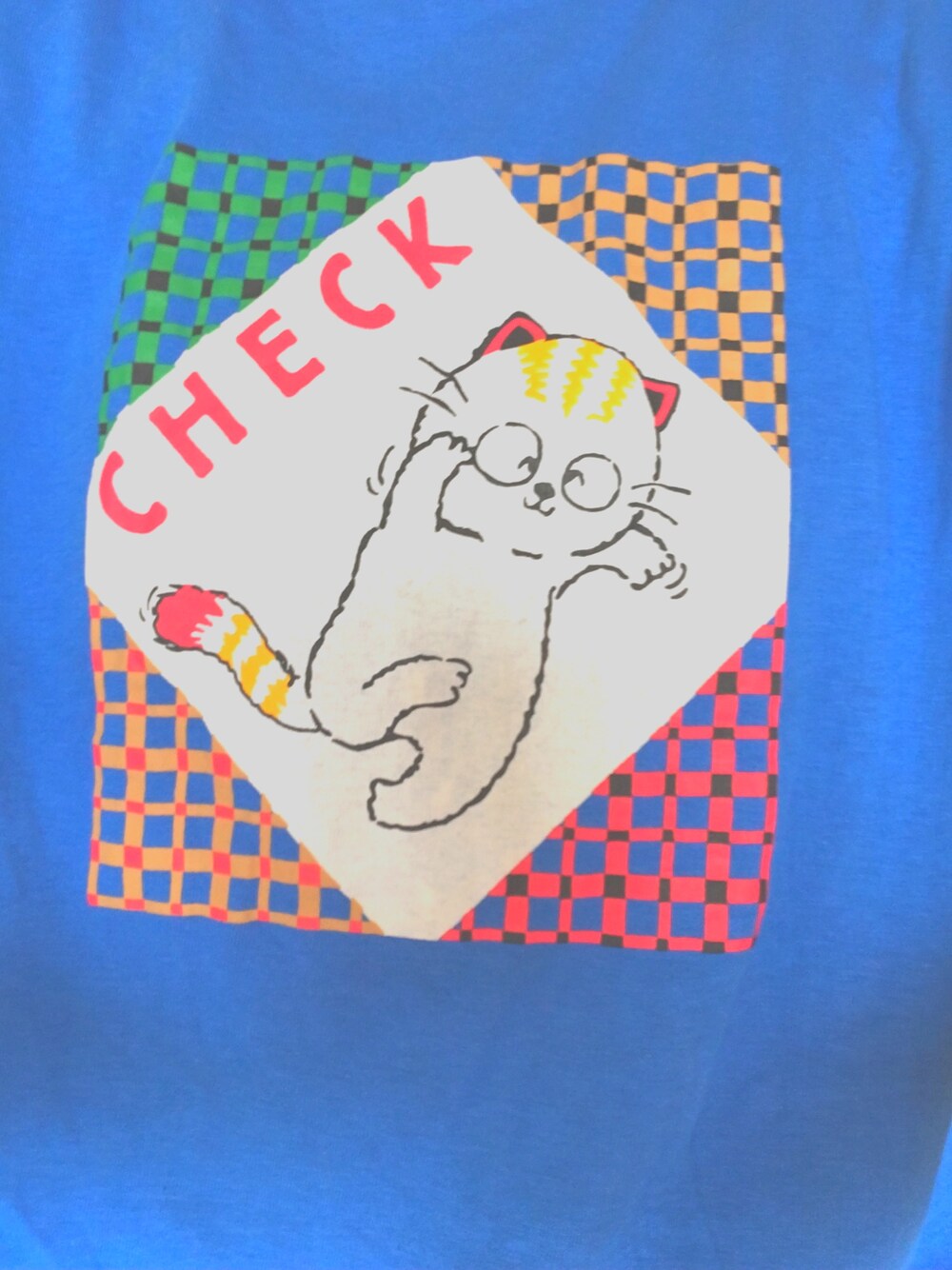 「ネコ」｜「古着のアイテム（Tシャツ/カットソー、ブルー系）」を使った、芋子さん（レディース・162cm）の夏コーディネートの1枚目の写真