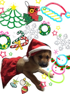 KAZUさんのコーディネート