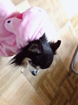 nαnoてゃん。さんのコーディネート