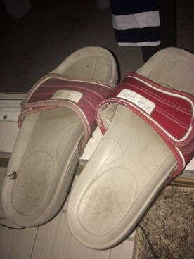 ガーディさんのコーディネート