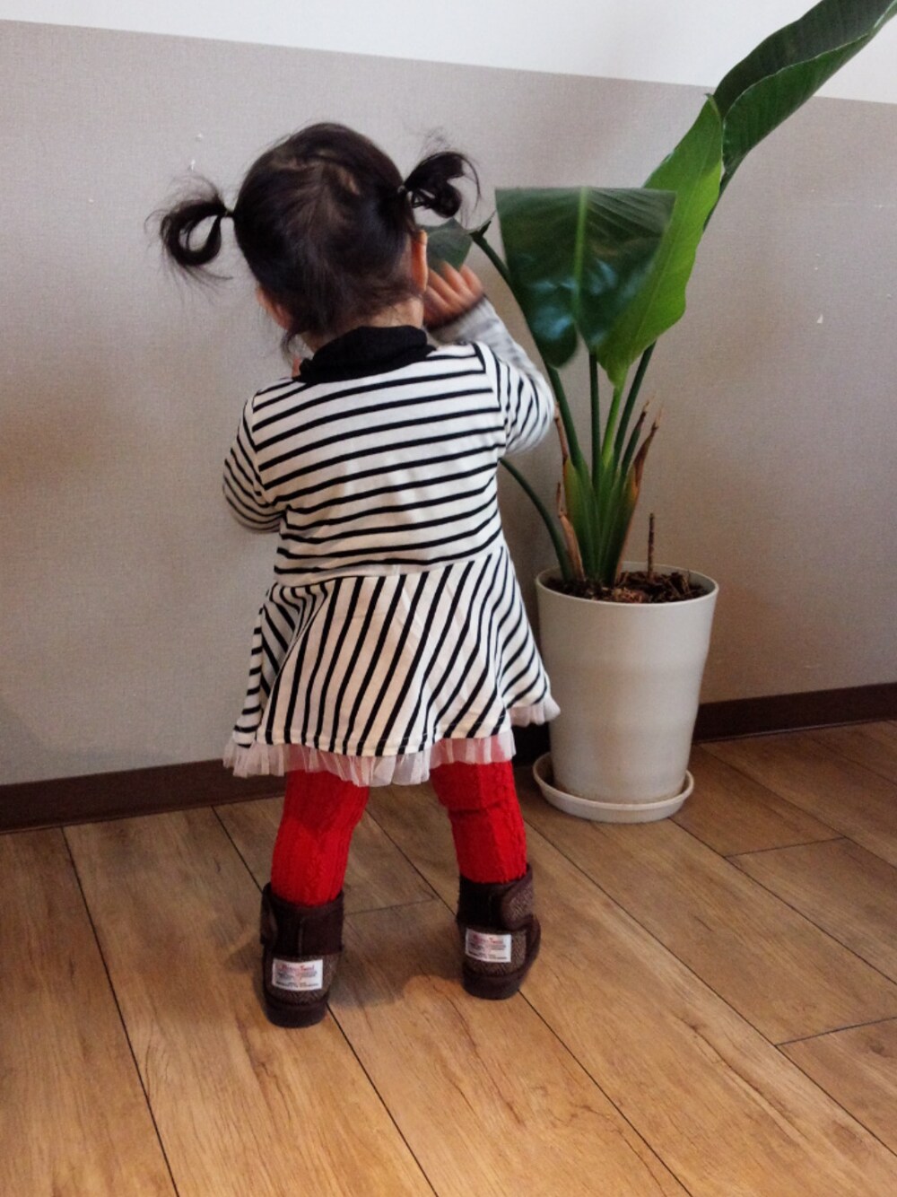 「1歳、娘、 80、girl、女の子、女の子コーデ」｜「西松屋のアイテム（ワンピース、ブラック系）」を使った、ぽんさん（キッズ・80cm）の冬コーディネートの1枚目の写真