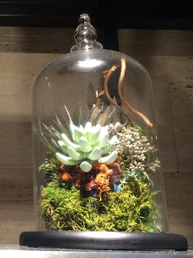 NINE1018さんのコーディネート