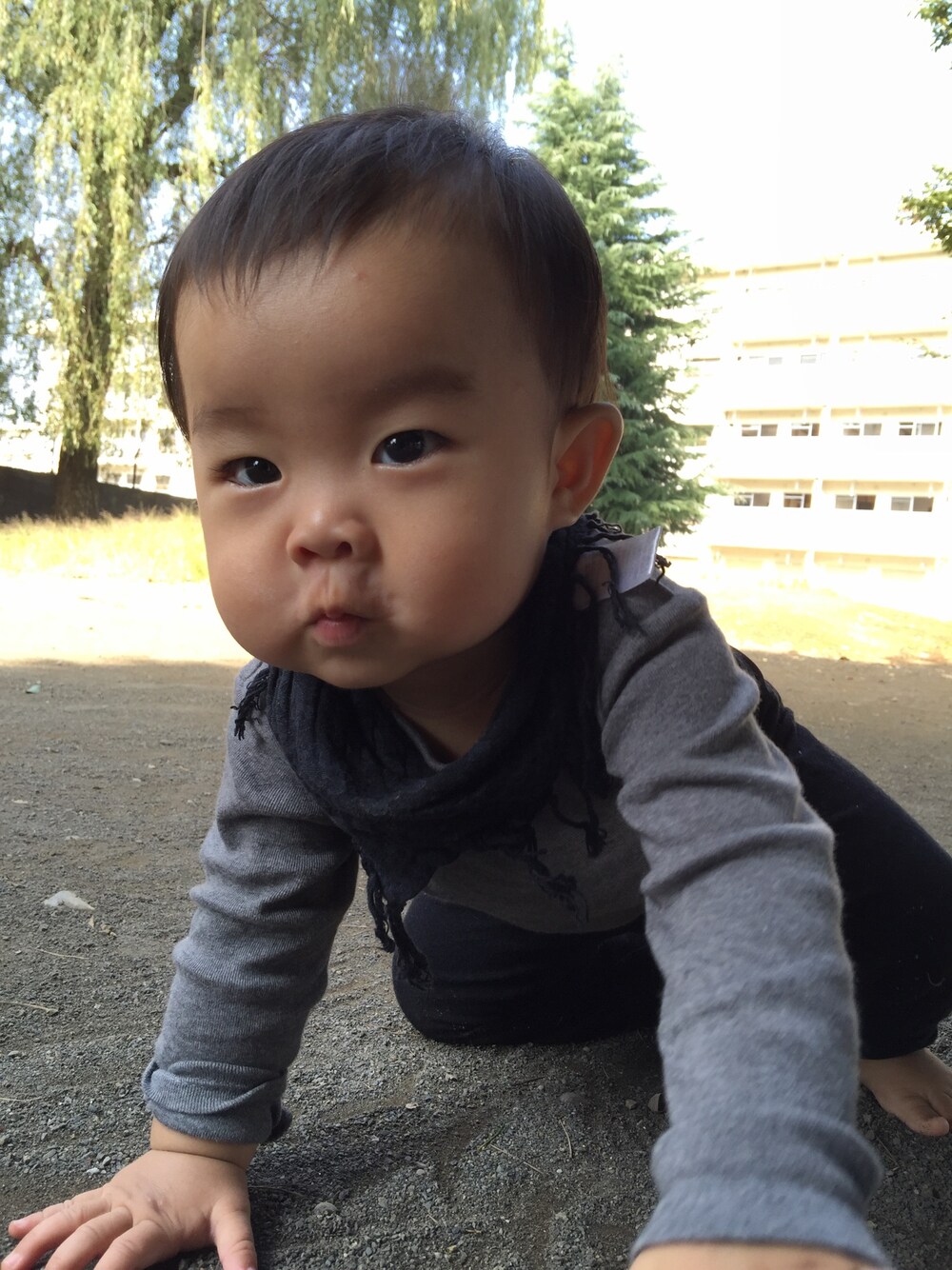 グレー系のTシャツ/カットソーを着用したキッズの秋コーディネートの1枚目の写真