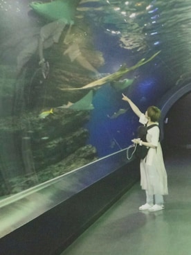 しゃりさんのコーディネート