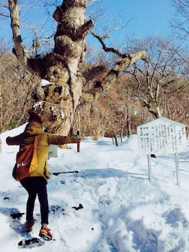 「MHL.」｜「アイテム（ダウンジャケット/コート）」を使った、akinko5さん（レディース・150cm）の冬コーディネート