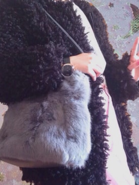 y u m iさんのコーディネート