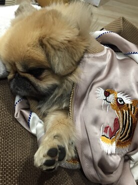 Lenn0nさんのコーディネート